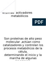 enzimas  activadores metabólicos