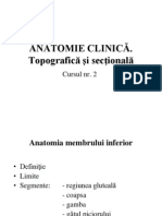 Topografică Şi Secţională