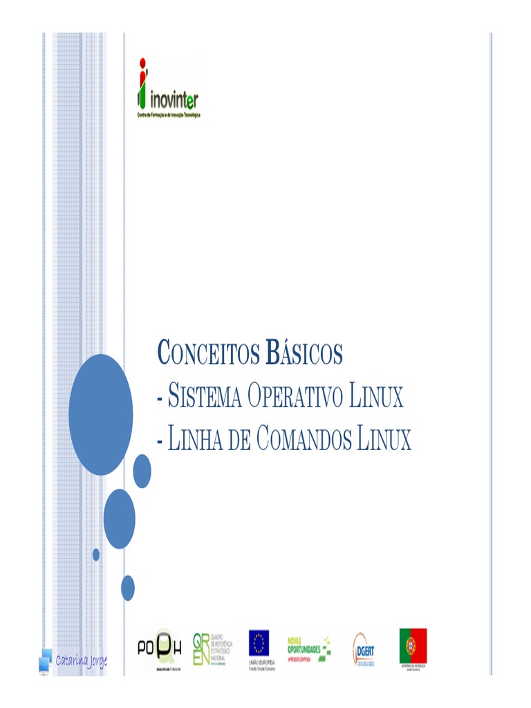 Linux - Conceitos Básicos | PDF | Sistema operacional | Linux