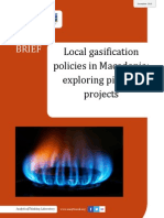 Local gasification policies in Macedonia