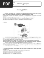 Simulado de Ciências 6º ano A e B 2
