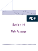 Fish Passage Design