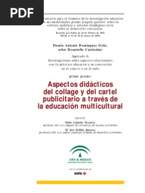 Collage Y Cartel Collage Maestros