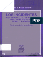 Los Incidentes-Julio E. Salas Vivaldi.