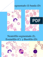 Imagenes de Hematologia