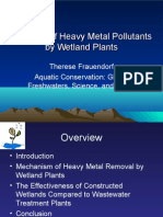 Removal of Heavy Metal Pollutants by Wetland Plants