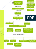 Metabolismo Celular