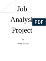 Job Analysis Project: by Mairaj Hussain