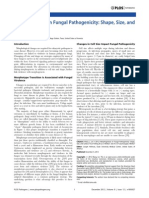 Fungal Morphogenecity