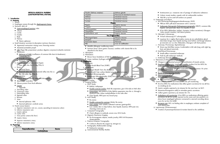Medical-Surgical Nursing (Gastrointestinal) | PDF | Large Intestine ...