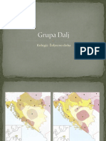 Grupa Dalj3