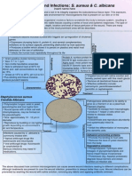 Agents of Wound Infections: S. Aureus & C. Albicans: Insert Name Here