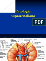 Patologia Suprarenaliana