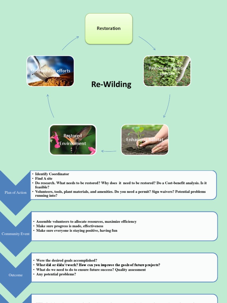 Rewilding | PDF