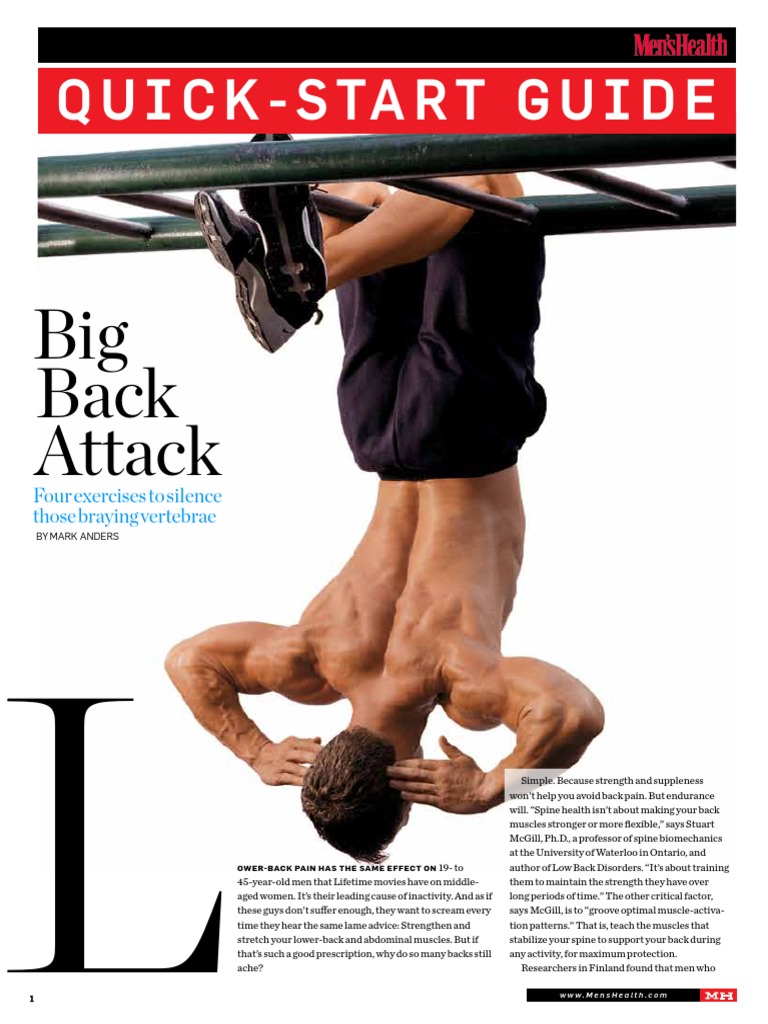 Exercises For Lower Back Pain | PDF
