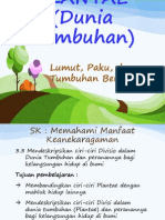 Plantae - Dunia Tumbuhan