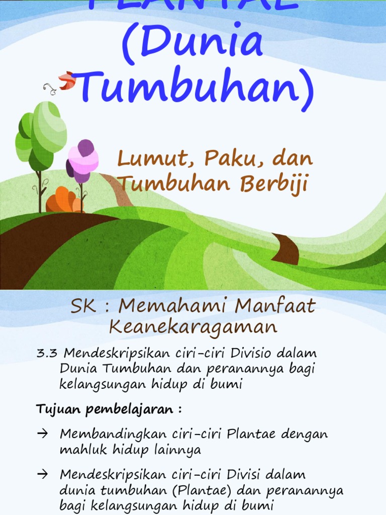 Plantae - Dunia Tumbuhan