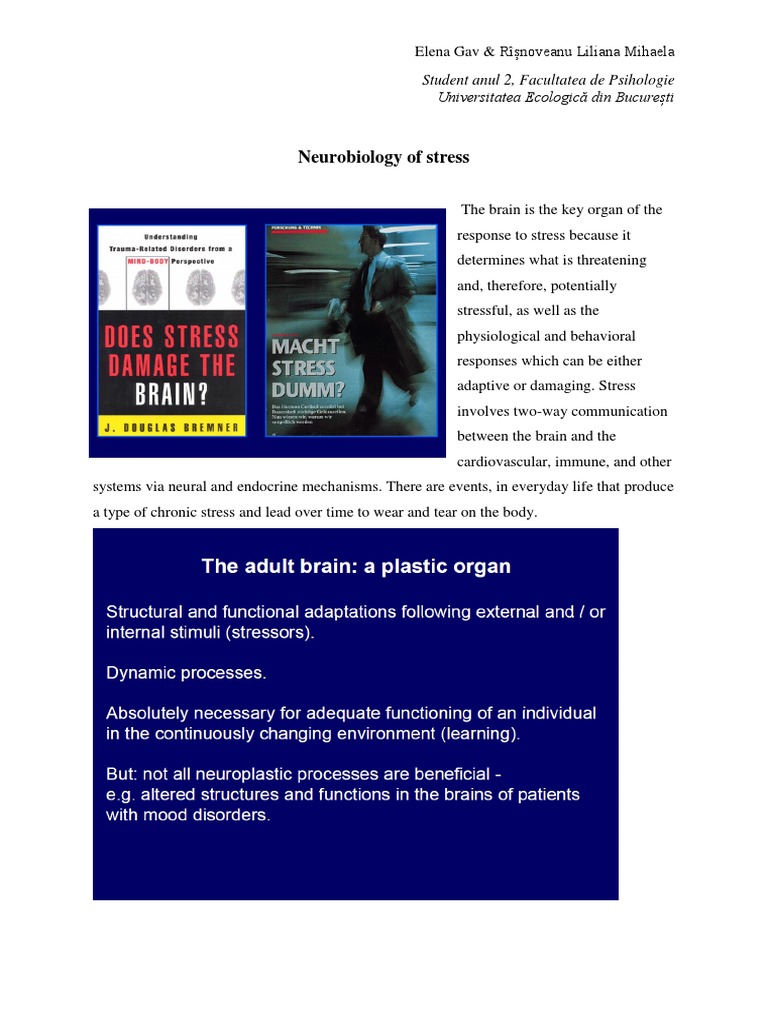 Neurobiology of stress brain response | PDF | Cortisol | Stress (Biology)