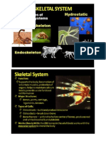 skeletal system general info