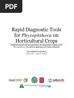 Download Manual de Phytophthora by Leonides Bernardo Fernndez Licn SN212494326 doc pdf