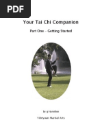 Tai Chi Companion Part 1 - Getting Started