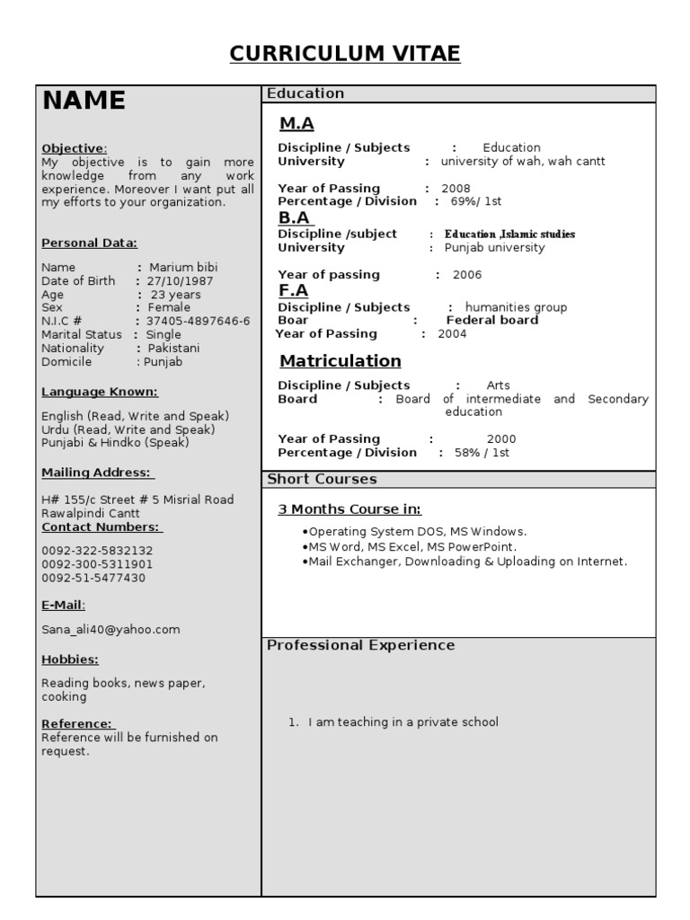 New CV Format for Job Seekers | PDF