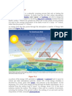 The Greenhouse Effect