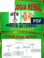 Fisiologia Renal