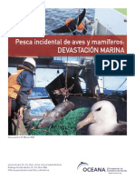 Pesca Incidental