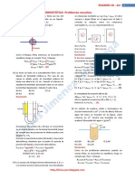 Ejercicios Resueltos de Fisica Hidrostatica