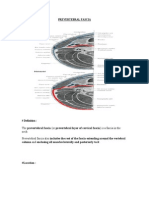 Prevertebral Fascia of Head and Neck