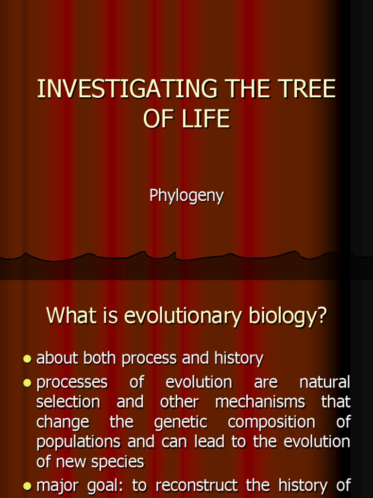 Investigating The Tree of Life | PDF | Phylogenetic Tree | Gene