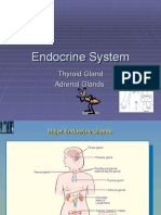 Endocrine Diseases