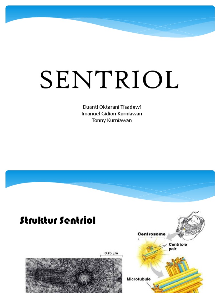 Slide Sentriol Mitosis Cell Cycle