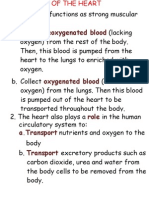 Functions of the Heart & Circulatory System