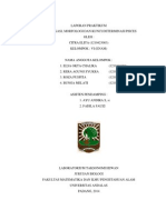 Download LAPORAN PRAKTIKUM Determinasi Pisces by Citra Elita SN212591834 doc pdf