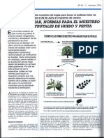 Normas para Muestreo Frutales