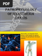 Pathophysiology of Myasthenia Gravis