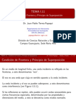Tema 1.11-Condicion de Frontera y Principio de Superposicion