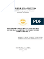Rubilar 2007 Biorremediación de Suelos Contaminados Con Pentaclrofenol (PCF) Por Hongos de Pudrición Blanca PDF
