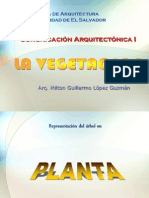 La Vegetacion PDF