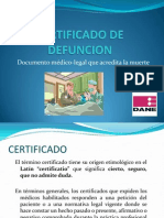 Certificado de Defuncion Final