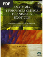 Download Anatomia y Fisiologia Clinica de Animales Exoticos by Eduardo Reyes SN212671972 doc pdf