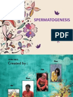 1. Spermatogenesis (Hanna, Rizki, Bagus, Fajar)