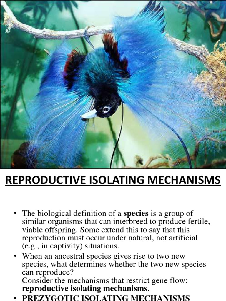Isolation & Isolating Mechanisms PDF Hybrid (Biology) Reproduction