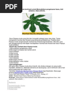 Download manfaat pepaya by cuyunq SN212679649 doc pdf