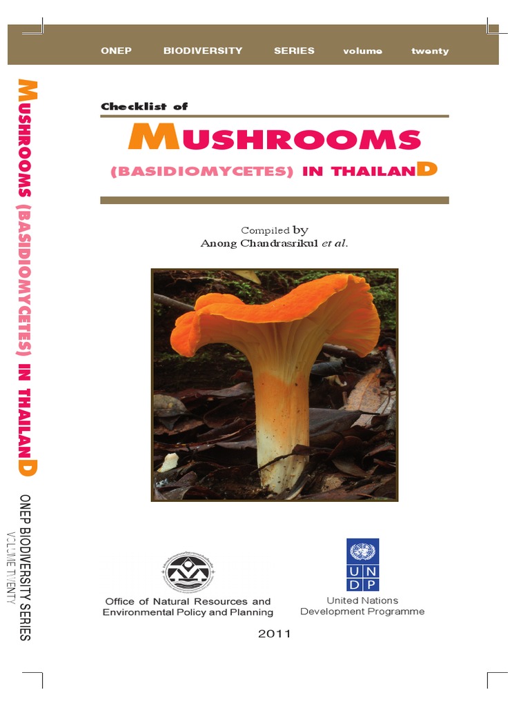 Key Mushrooms V20 | PDF | Fungus | Mushroom Types