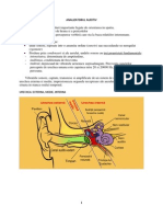 Anatomia Si Fiziologia Analizatorului Auditiv