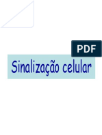 Sinalização celular Aula