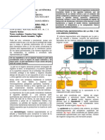 Sistema-tegumentario.pdf